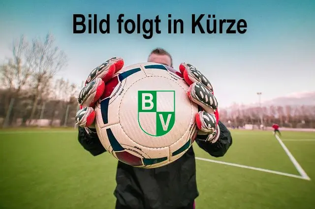 Bild folgt Mannschaftsfoto D2 Grün-Weiß Holt